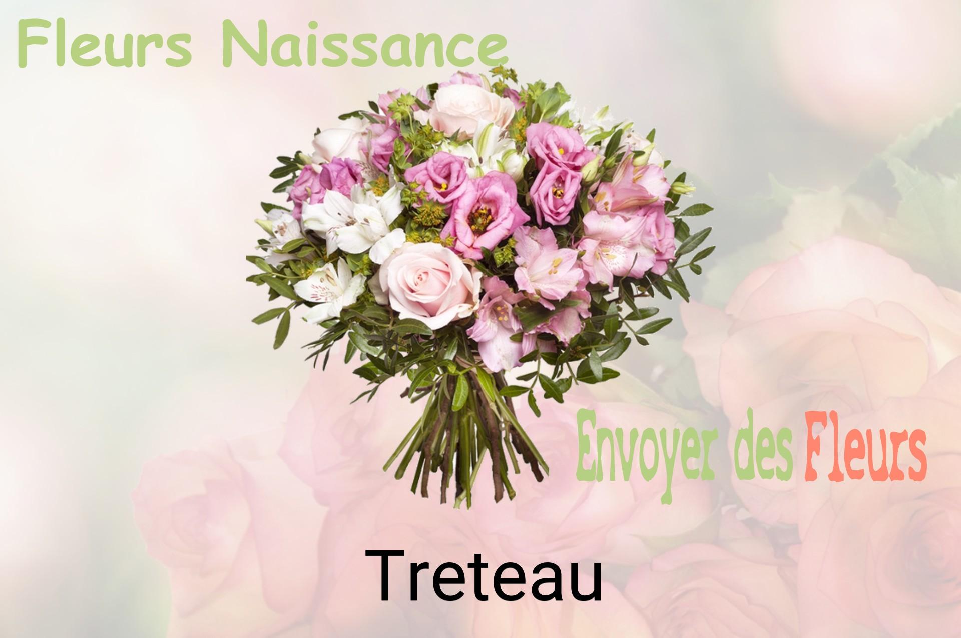 Bouquet de fleurs de naissance livré à Treteau