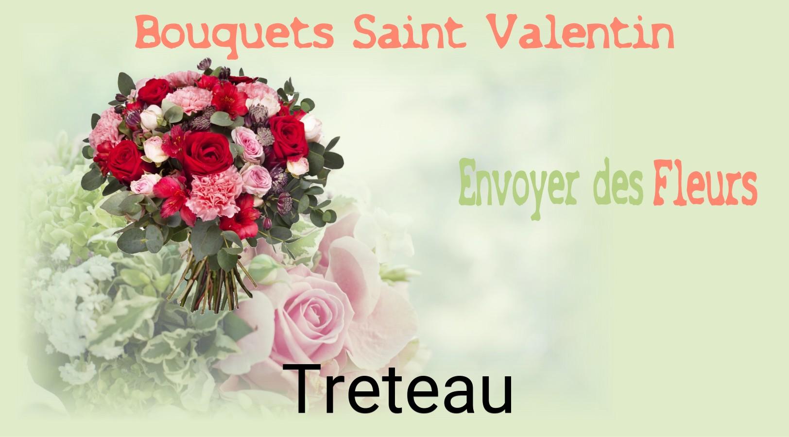 Roses de Saint-Valentin livrées à Treteau